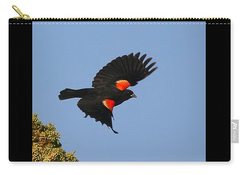 Blackbirds Zip Pouch featuring the photograph Final Approach by Geoff Crego