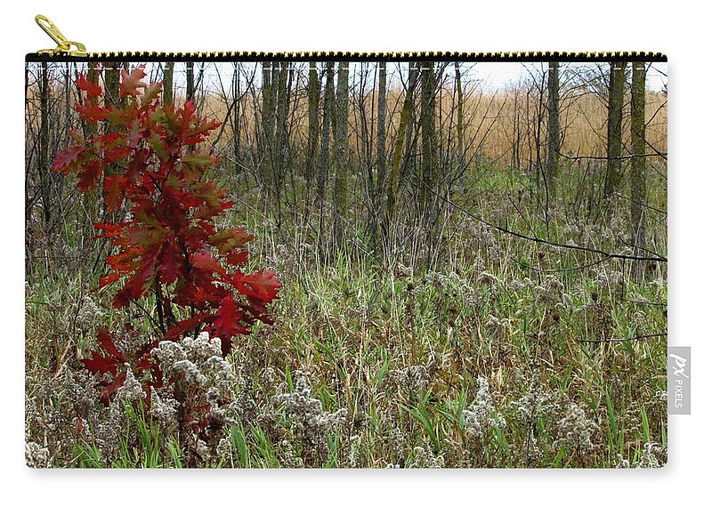 Tree Zip Pouch featuring the photograph First Autumn II by Kimberly Mackowski