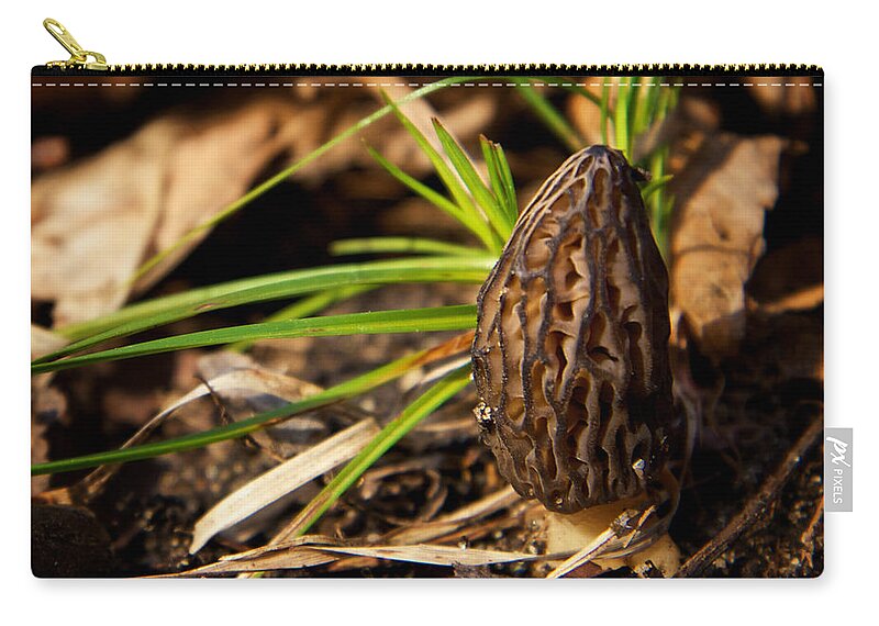 Morel Carry-all Pouch featuring the photograph First Morel Mushroom of Spring by Mary Lee Dereske