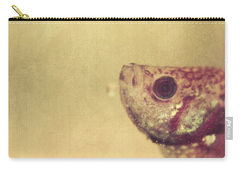 Fish Zip Pouch featuring the photograph Fish Can Be Sad Too by Aimelle Ml