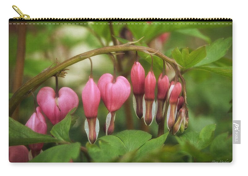 Five Little Hearts Zip Pouch featuring the photograph Five Little Hearts by Mary Machare