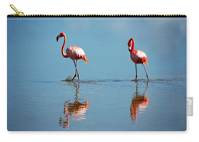 Animal Themes Zip Pouch featuring the photograph Flamands Rose Cayo Coco Cuba Pink Floyds by Ichauvel