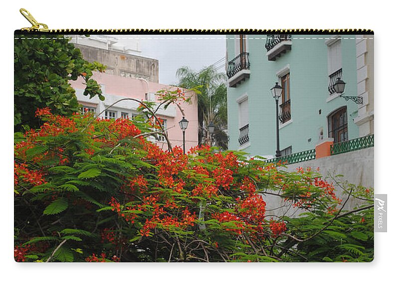 Architecture Zip Pouch featuring the photograph Flamboyan in Park by George D Gordon III