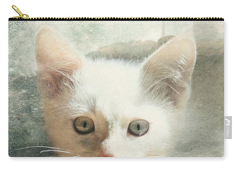 Kitten Zip Pouch featuring the photograph Flamepoint Siamese Kitten by Pam Holdsworth