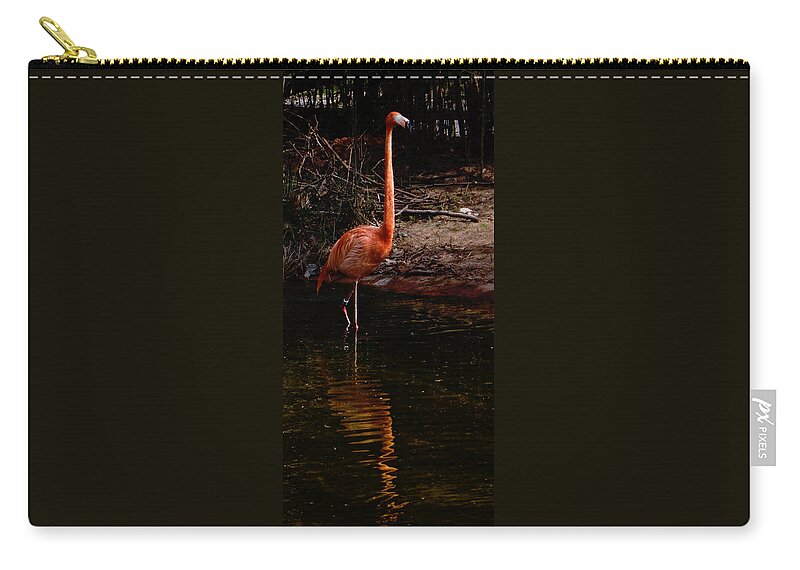 Flamingo Carry-all Pouch featuring the photograph Flamingo at rest. by Weston Westmoreland