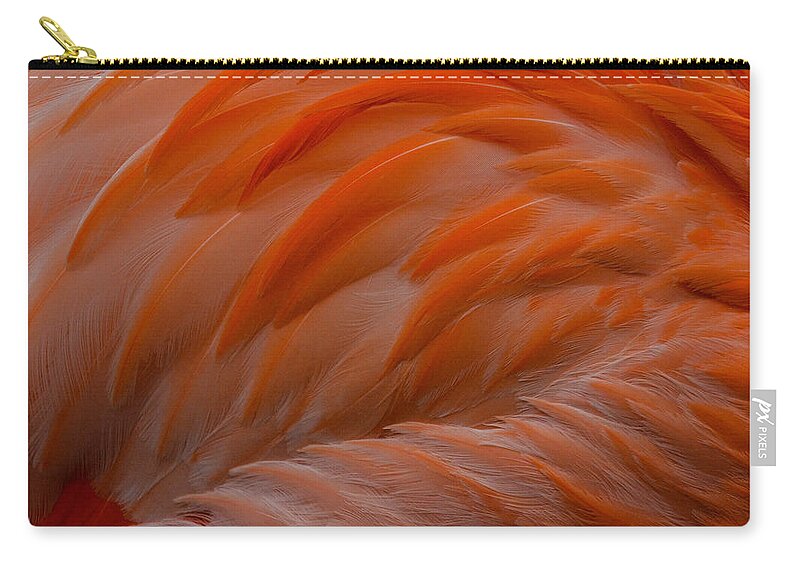 Flamingo Feathers Carry-all Pouch featuring the photograph Flamingo Feathers by Michael Hubley