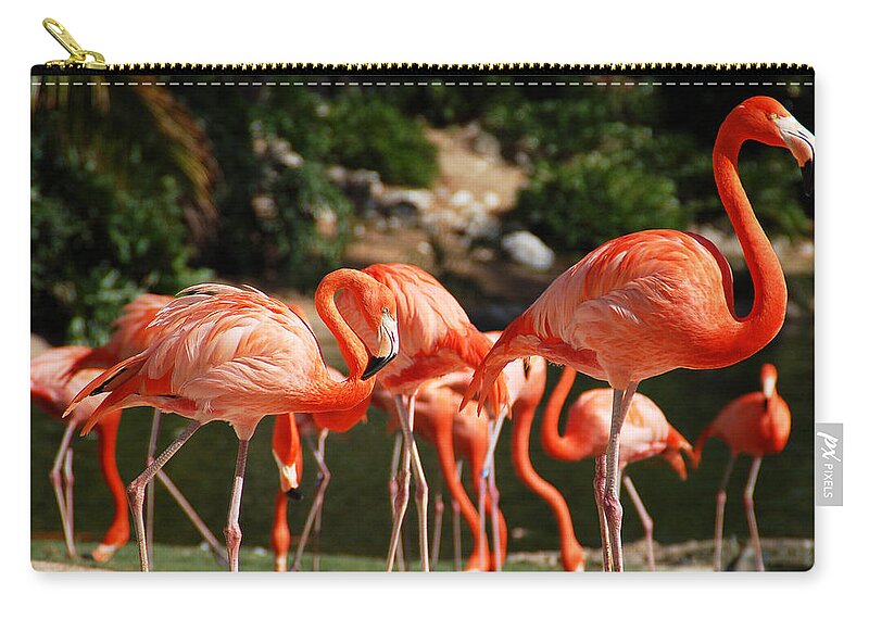 Flamingo Zip Pouch featuring the photograph Flamingos by Aimee L Maher ALM GALLERY