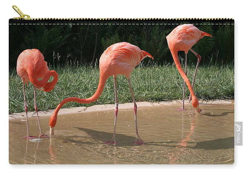 Birds Carry-all Pouch featuring the photograph 3 Flamingos drinking water by Valerie Collins