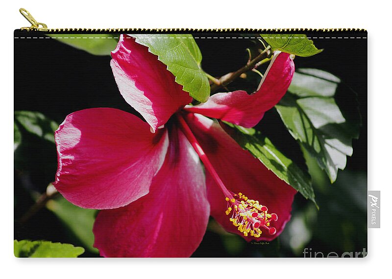 Flower Photography Zip Pouch featuring the photograph Flirting by Patricia Griffin Brett