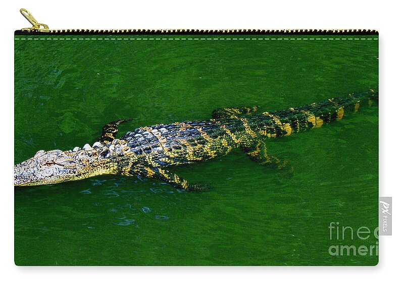 Alligator Zip Pouch featuring the photograph Floating Alligator by Cynthia Guinn