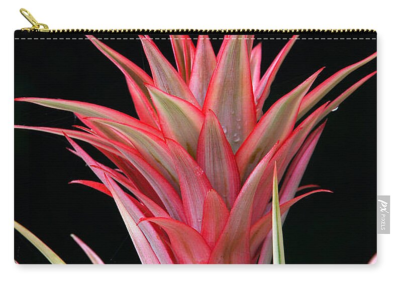 Floral Zip Pouch featuring the photograph Floral Explosion by Byron Varvarigos