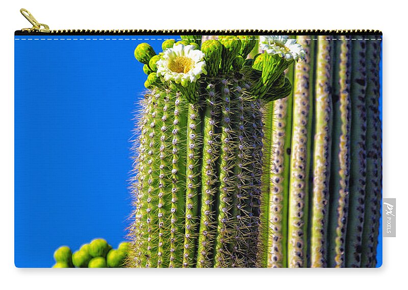 Flowers Zip Pouch featuring the photograph Flores del Saguaro by Fred J Lord