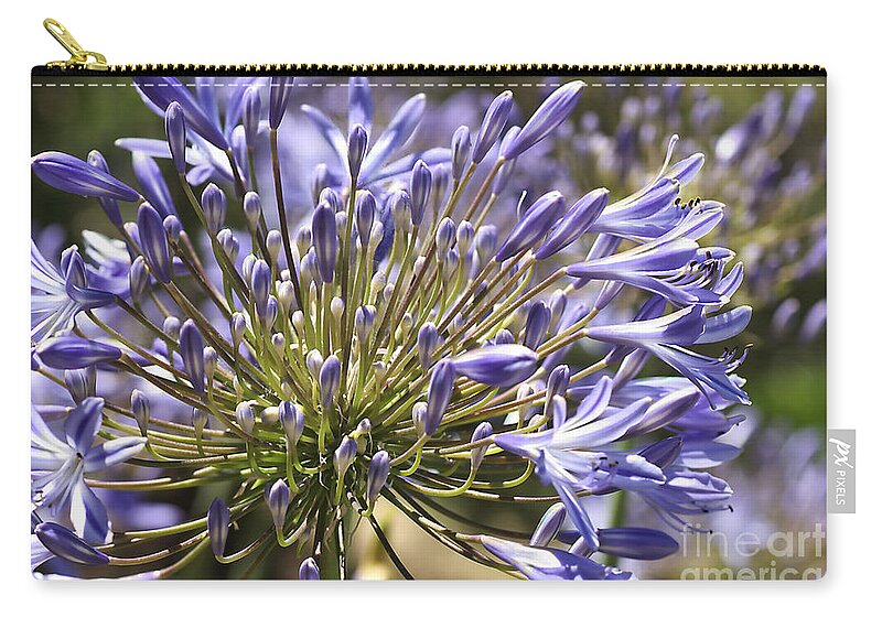 Lily Of The Nile Zip Pouch featuring the photograph Flower-blue-agapanthus by Joy Watson
