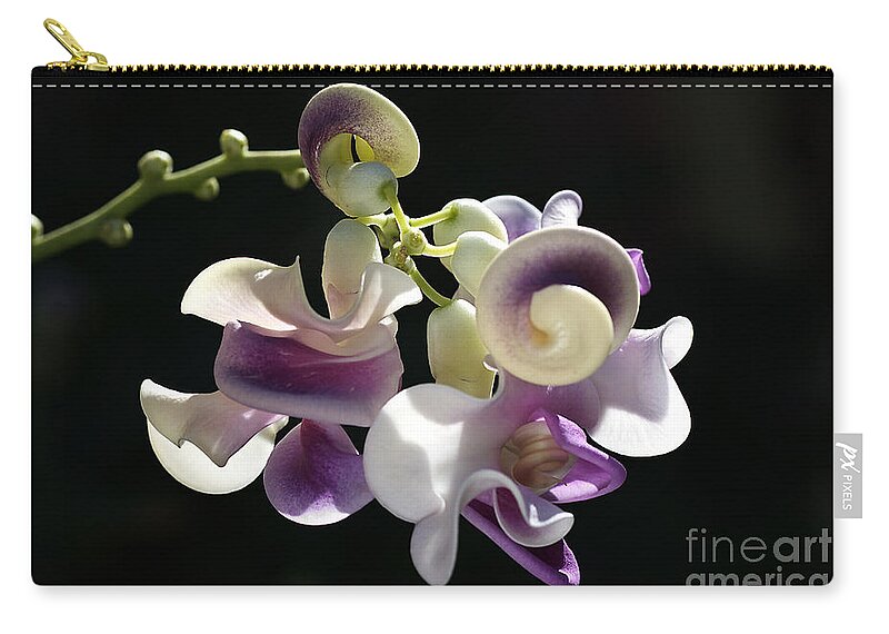 Corkscrew Flower Zip Pouch featuring the photograph Flower-snail Flower by Joy Watson