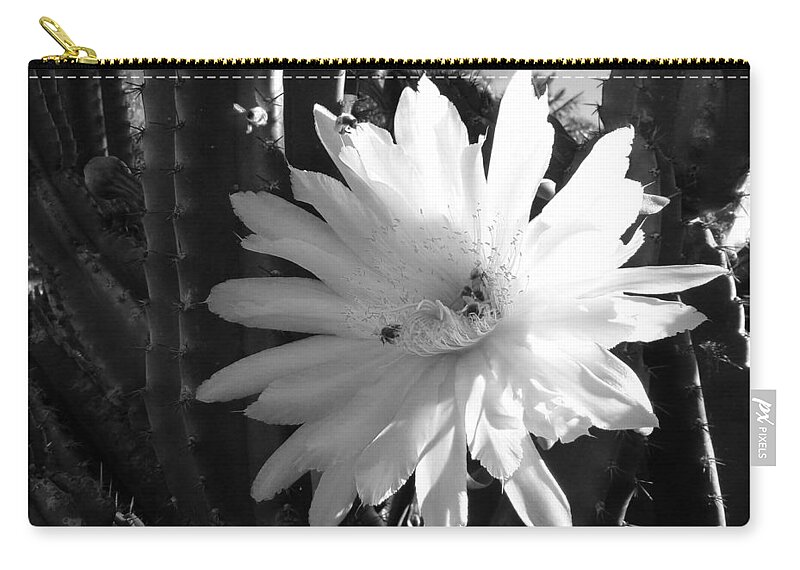 Cactus Zip Pouch featuring the photograph Flowering Cactus 1 BW by Mariusz Kula