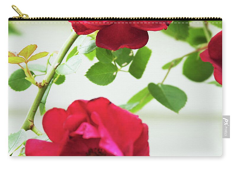 Outdoors Zip Pouch featuring the photograph Flowering Rose Bush In A Garden by Jon Schulte