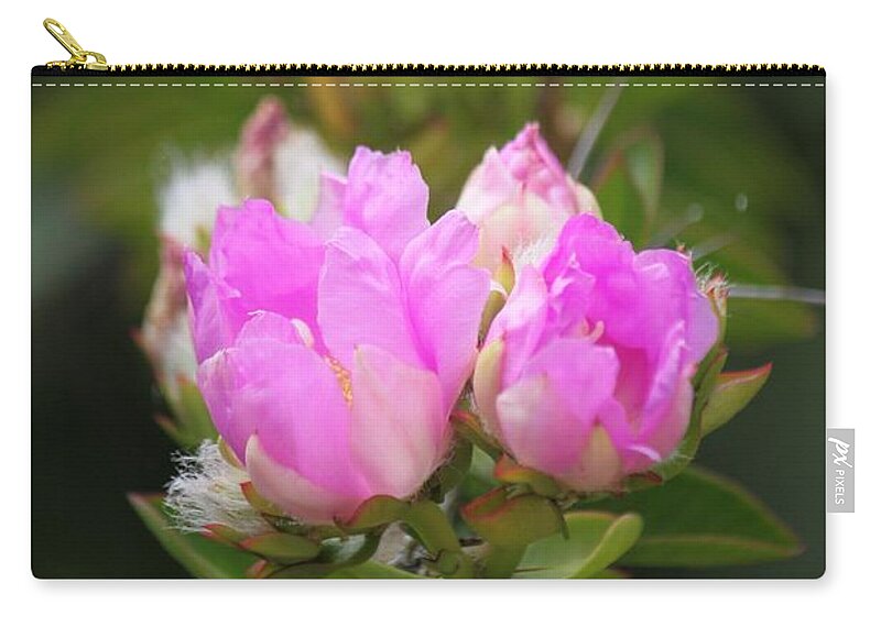 Flowers Zip Pouch featuring the photograph Flowers For You by Amy Gallagher