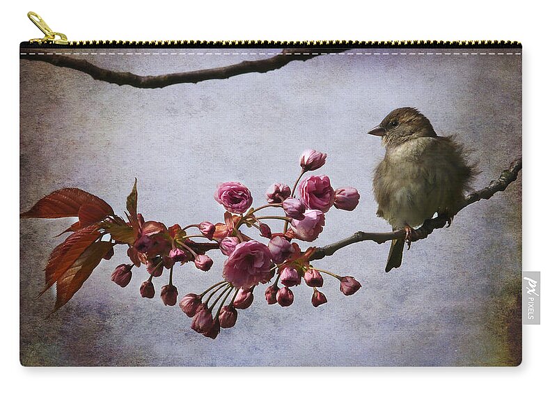 Sparrow Zip Pouch featuring the photograph Fluffy Sparrow by Barbara Orenya