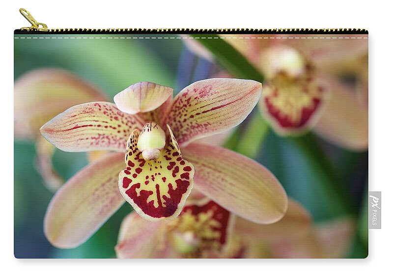 Floral Zip Pouch featuring the photograph Flush by Jade Moon 