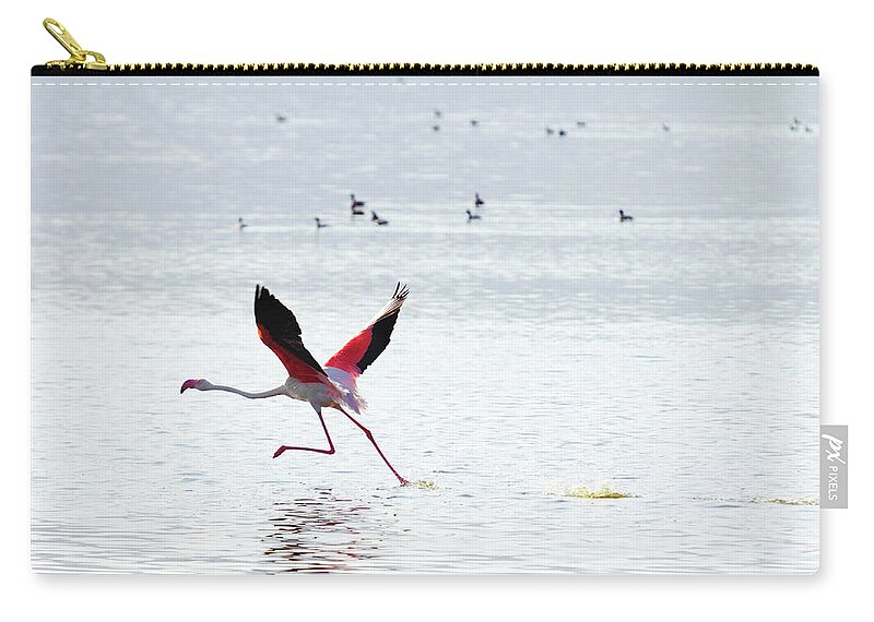 Kenya Zip Pouch featuring the photograph Flying Flamingo by Ivanmateev