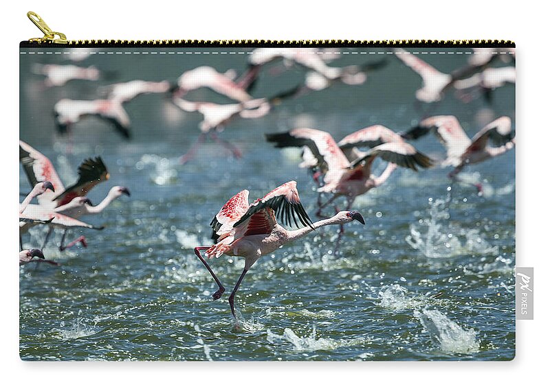 Animals In The Wild Zip Pouch featuring the photograph Flying Flamingos by 1001slide