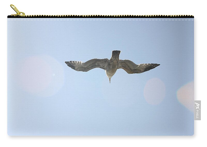 Flying Zip Pouch featuring the photograph Flying Free by Diana Haronis