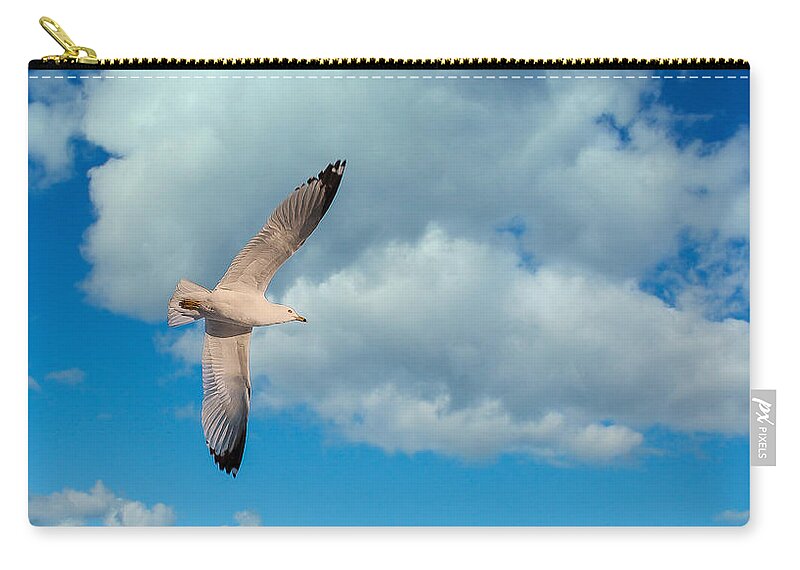 Seagull Zip Pouch featuring the photograph Flying High by Bianca Nadeau