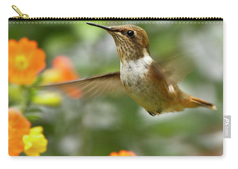 Bird Carry-all Pouch featuring the photograph Flying Scintillant Hummingbird by Heiko Koehrer-Wagner