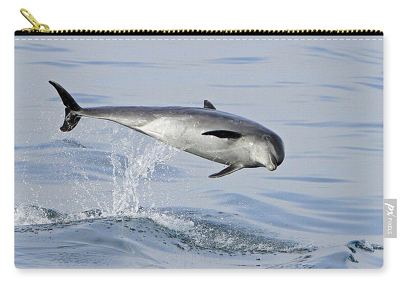 Bottlenose Dolphin Zip Pouch featuring the photograph Flying Sideways by Shoal Hollingsworth