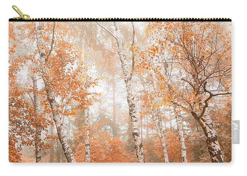 Wilderness Zip Pouch featuring the photograph Foggy autumn aspens by Eti Reid