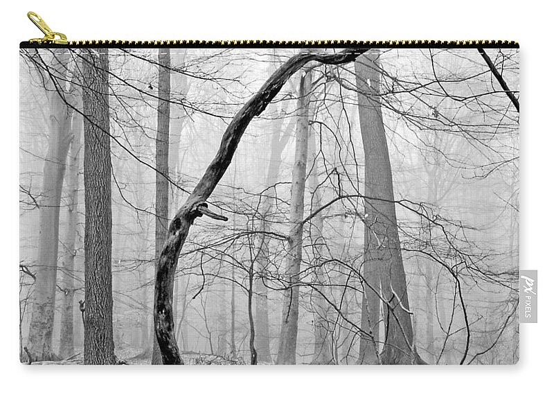 Nature Zip Pouch featuring the photograph Foggy Morning Deciduous Forest by A Macarthur Gurmankin