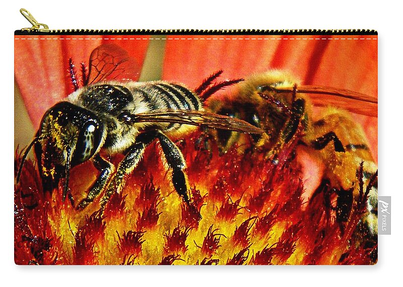 Nature Zip Pouch featuring the photograph Follow Me by Chris Berry
