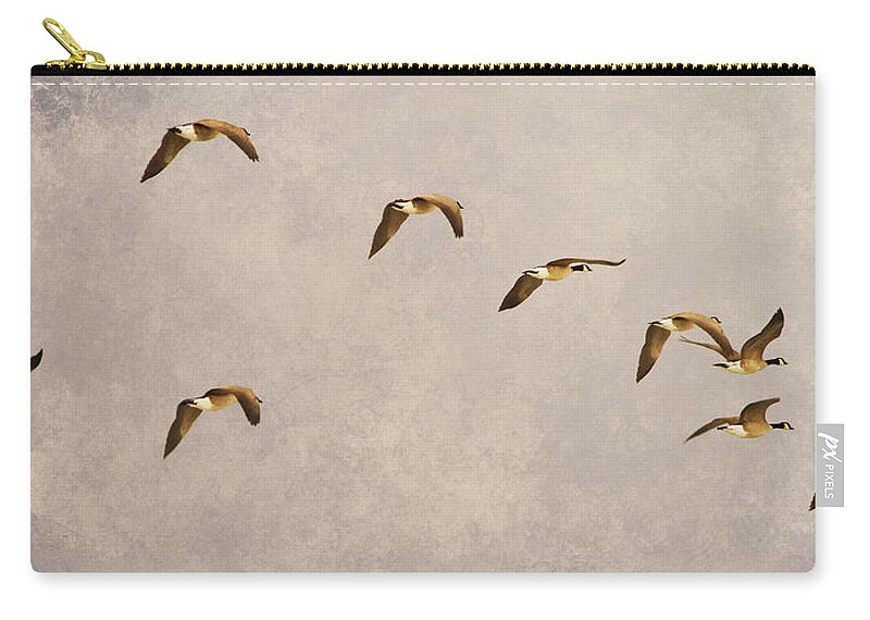 Canada Geese Zip Pouch featuring the photograph Follow the Leader by James BO Insogna