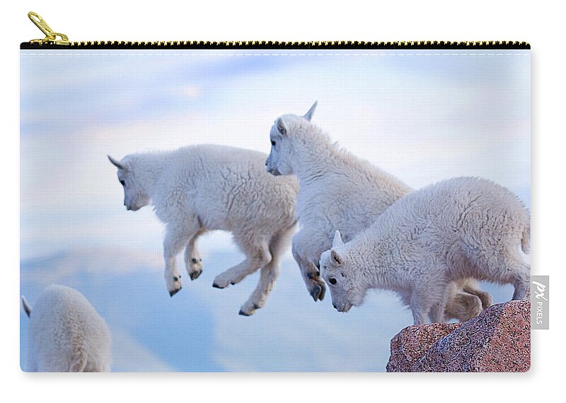 Mountain Goats; Posing; Group Photo; Baby Goat; Nature; Colorado; Crowd; Baby Goat; Mountain Goat Baby; Happy; Joy; Nature; Brothers Zip Pouch featuring the photograph Follow the Leader by Jim Garrison