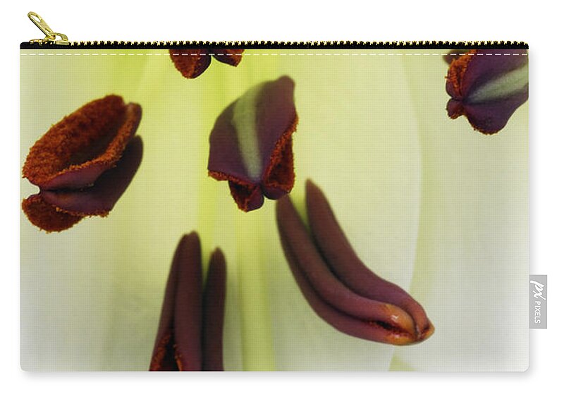 For The Love Of Lilies Zip Pouch featuring the photograph For The Love Of Lilies 1 by Wendy Wilton