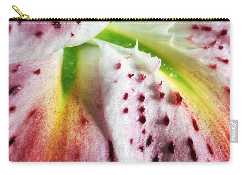 Wilton Zip Pouch featuring the photograph For The Love Of Lilies 5 by Wendy Wilton