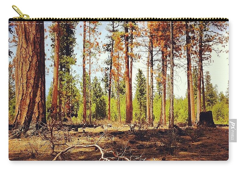 Scenics Zip Pouch featuring the photograph Forest Burn Area by Andipantz
