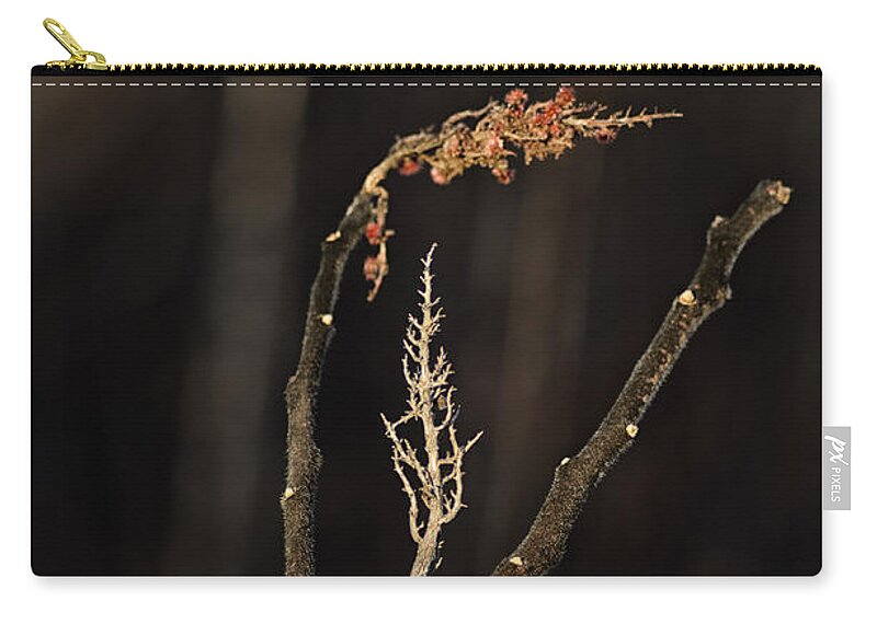 Staghorn Sumac Zip Pouch featuring the photograph Forest Song by Sue Capuano