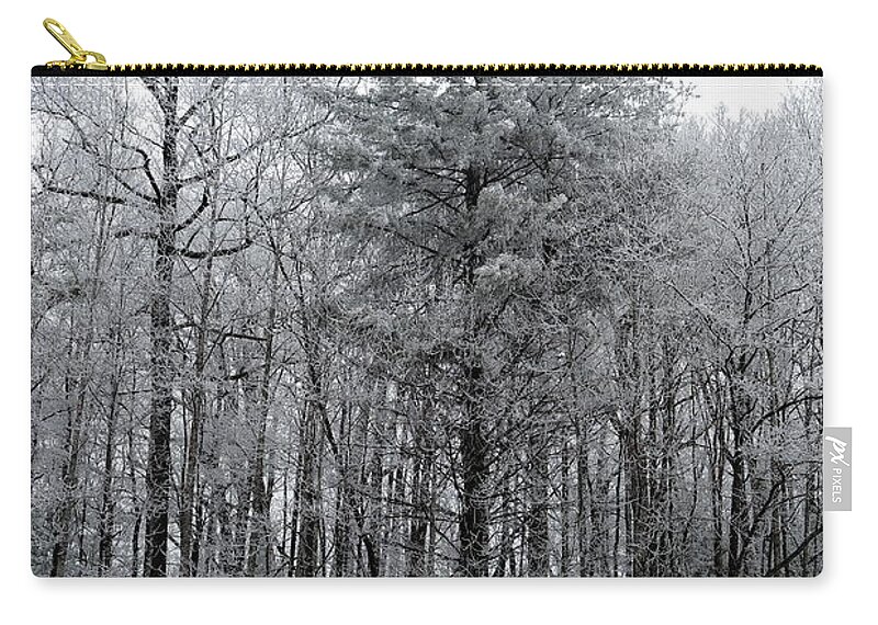 Landscape Carry-all Pouch featuring the photograph Forest With Freezing Fog by Daniel Reed