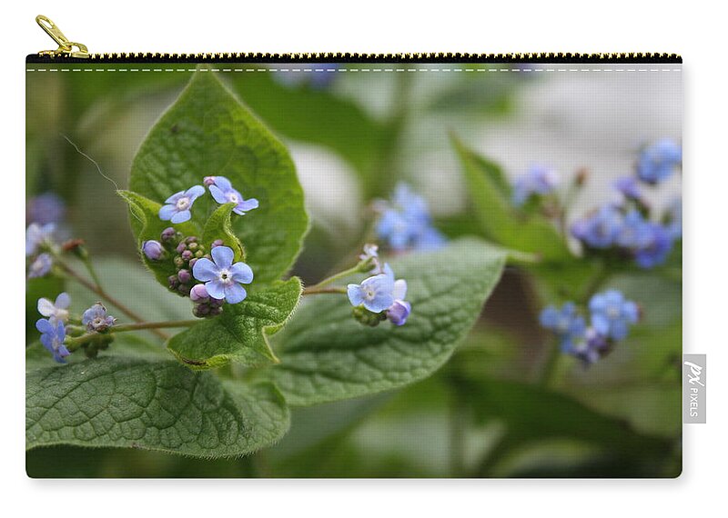 Horizontal Zip Pouch featuring the photograph Forget Me Not Flowers by Valerie Collins