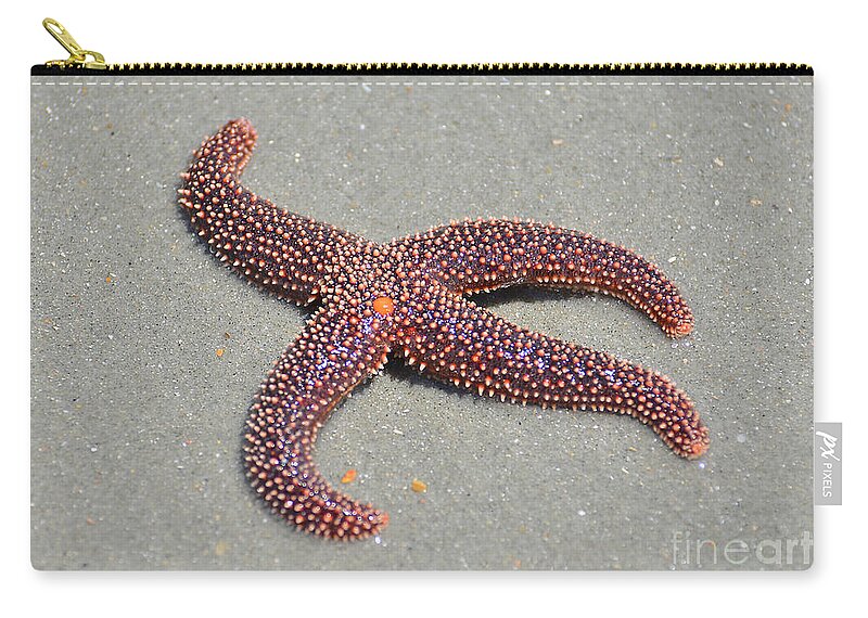 Starfish Carry-all Pouch featuring the photograph Four Legged Starfish by Kathy Baccari