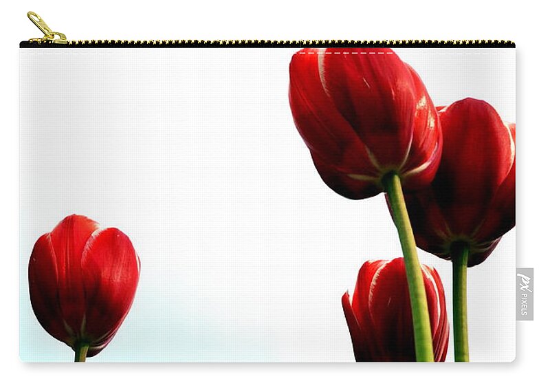 Hollander Zip Pouch featuring the photograph Four Red Tulips by Michelle Calkins