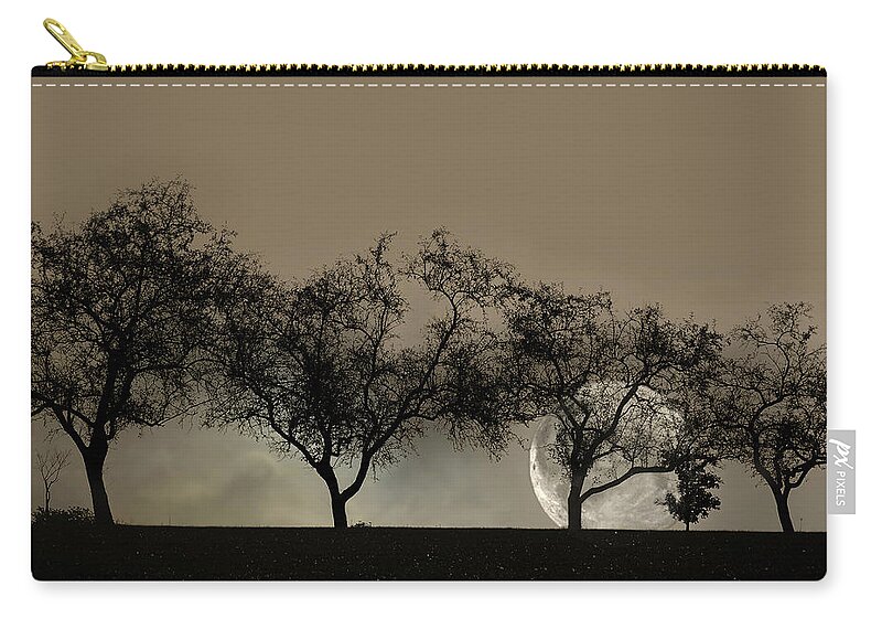 Trees Carry-all Pouch featuring the photograph Four Trees and a Moon by Ann Bridges