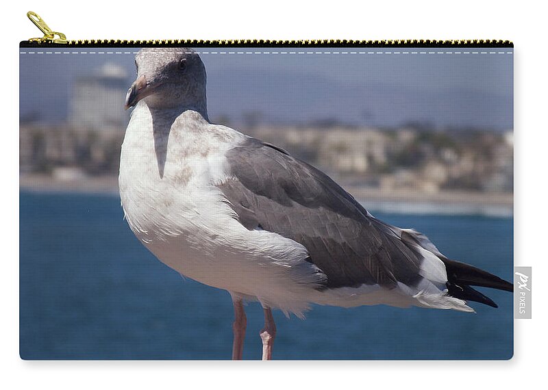 Seagull Zip Pouch featuring the photograph Waterfowl Model by Richard J Cassato