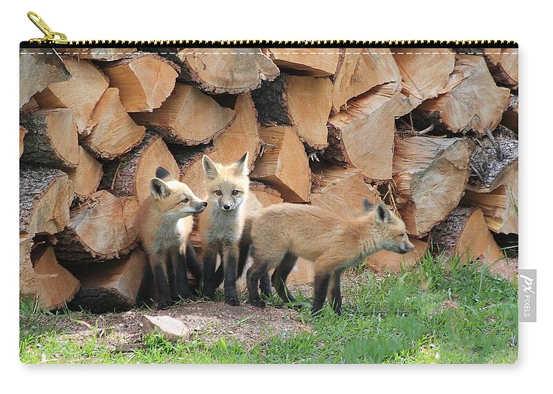 Fox Zip Pouch featuring the photograph Fox Kits by Shane Bechler