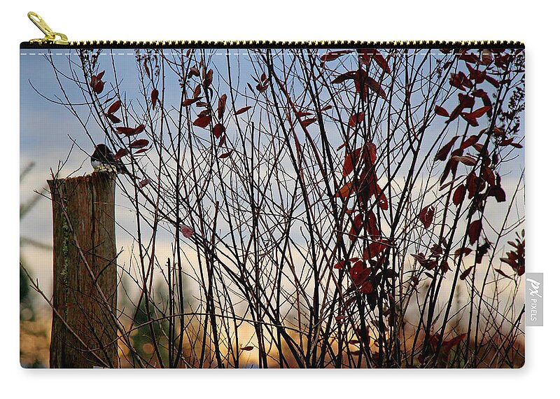 Landscape Zip Pouch featuring the photograph Free by Rory Siegel