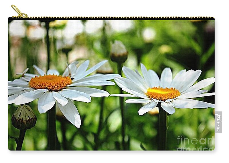 Daisy Zip Pouch featuring the photograph Fresh As A Daisy by Judy Palkimas