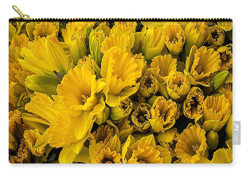 Fresh Yellow Zip Pouch featuring the photograph Fresh daffodils by Garry Gay