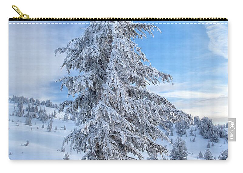 Winter Zip Pouch featuring the photograph Fresh Frost by Darren White