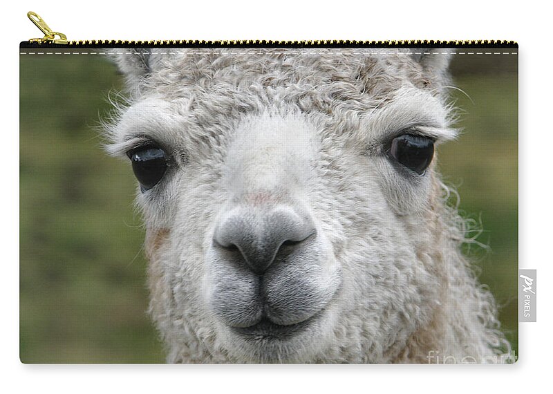 Llama Carry-all Pouch featuring the photograph Friends From The Field by Rory Siegel